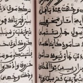 Language Program