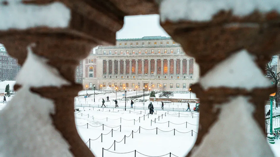 Snowy Butler Library.jpeg