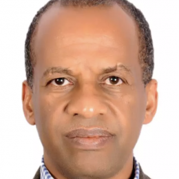 Photo of Mulu G. Gebreyohannes